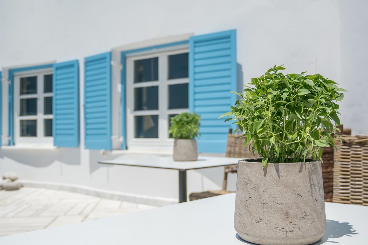 Capo Di Mykonos Resort Agios Ioannis Diakoftis Kültér fotó