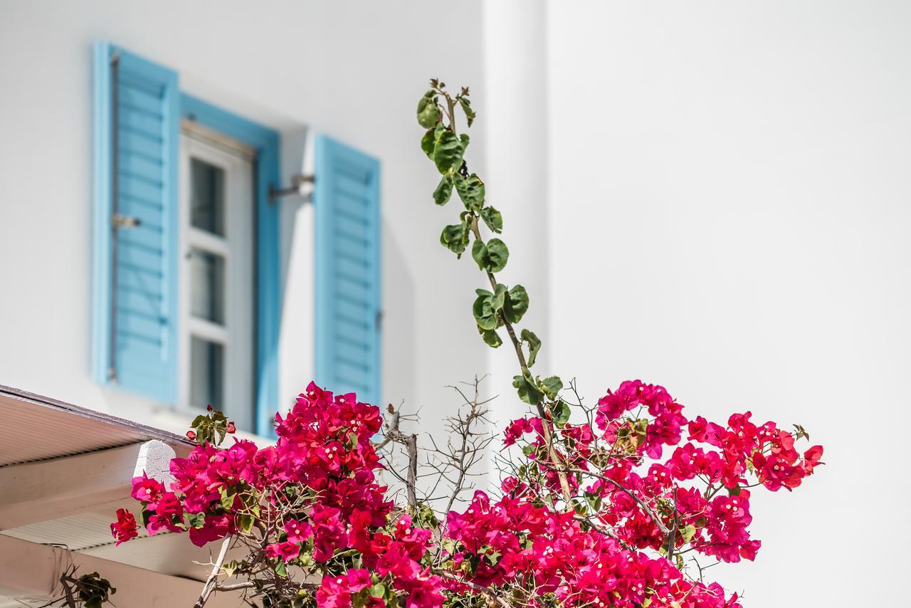 Capo Di Mykonos Resort Agios Ioannis Diakoftis Kültér fotó