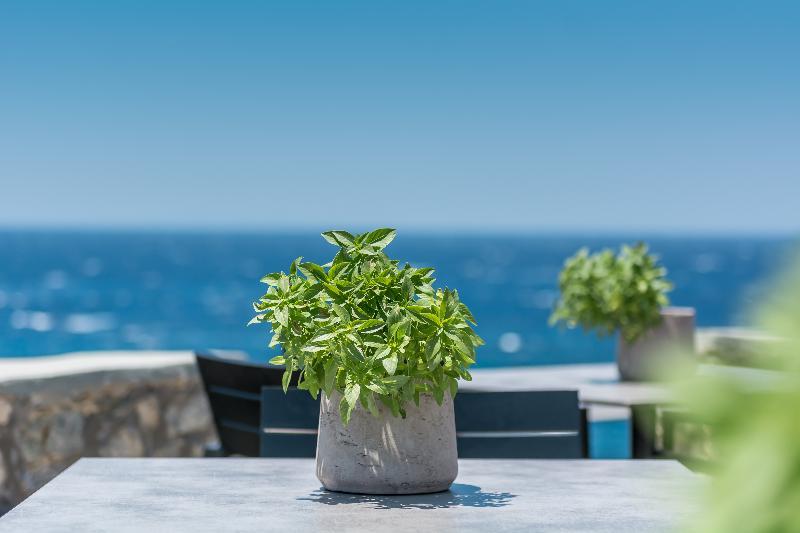 Capo Di Mykonos Resort Agios Ioannis Diakoftis Kültér fotó